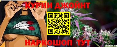 крисы Изобильный