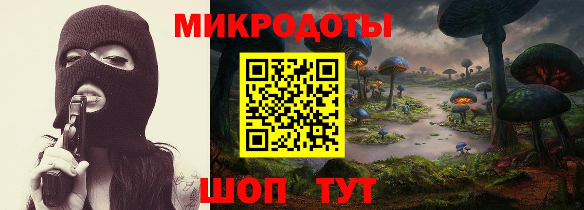 Псилоцибиновые грибы Psilocybe Кудымкар